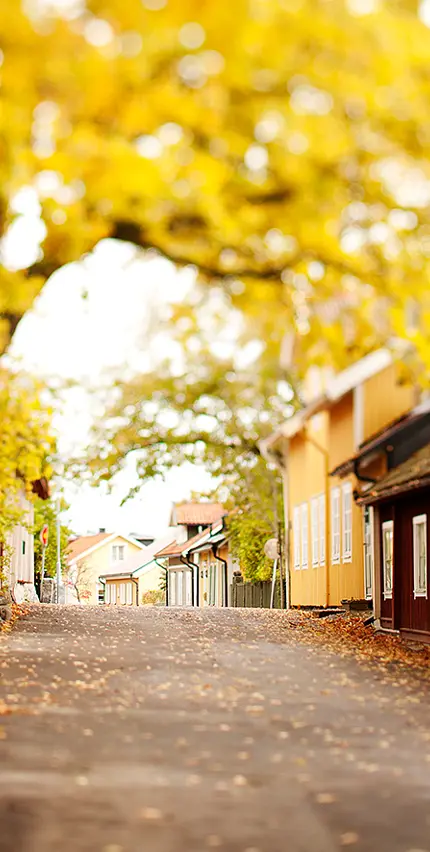 Sigtuna Malmgatan på hösten