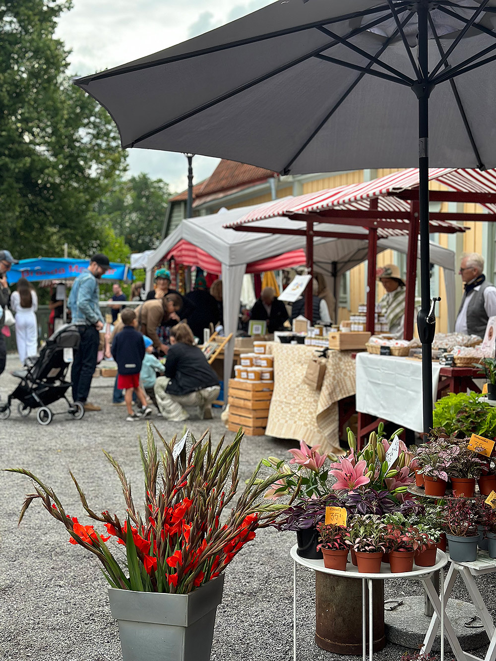 Sigtuna Möte Knalle Destination Sigtuna (16) Webb