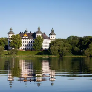 artikel bild