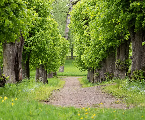 Sigtuna Ingegerdsleden Etapp 4 Alle Anna Maria Blomqvist Webb2